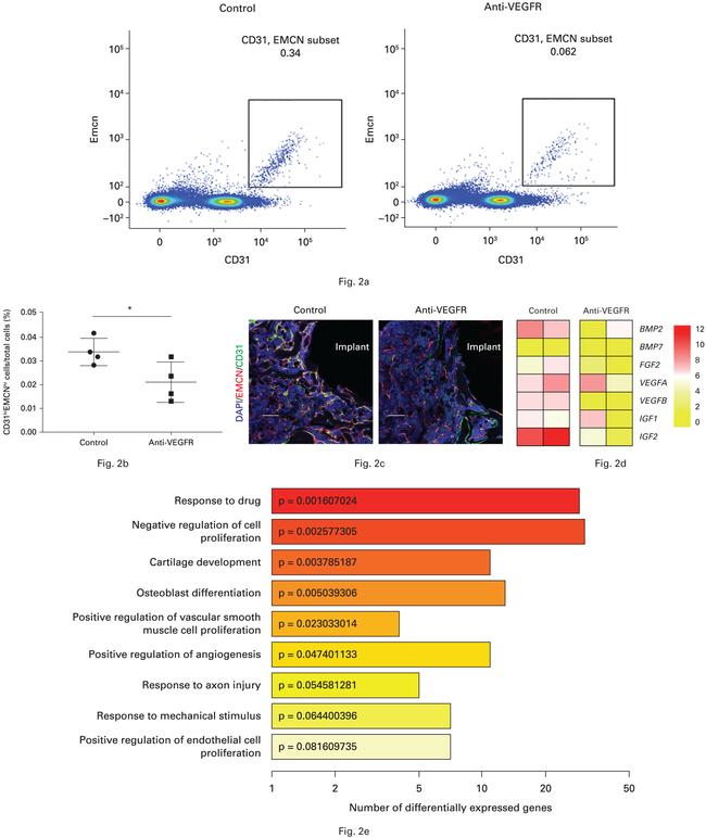 Endomucin Antibody in Flow Cytometry (Flow)