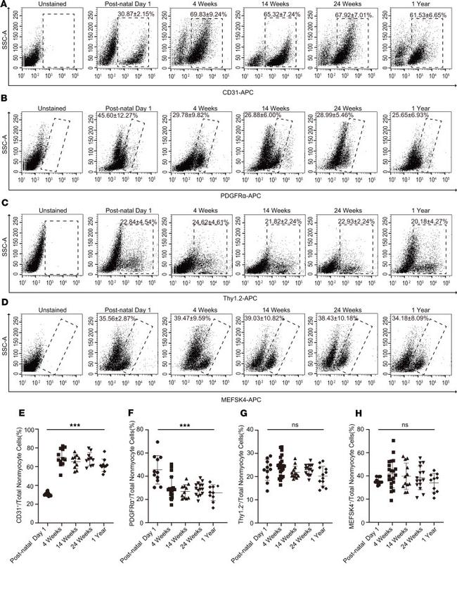 CD31 (PECAM-1) Antibody in Flow Cytometry (Flow)