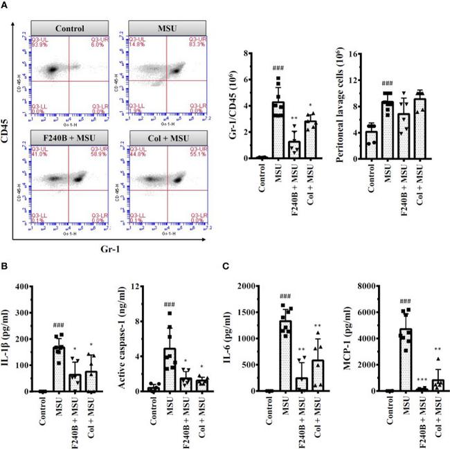 CD45 Antibody in Flow Cytometry (Flow)