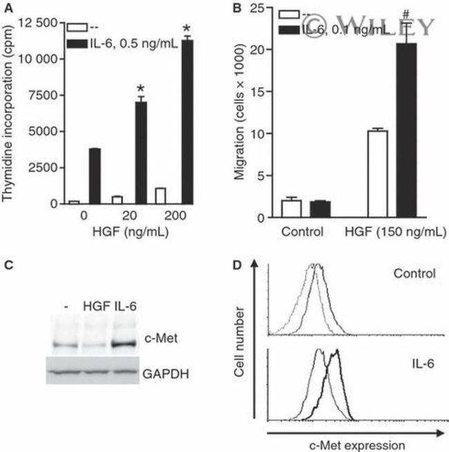 c-Met Antibody in Flow Cytometry (Flow)