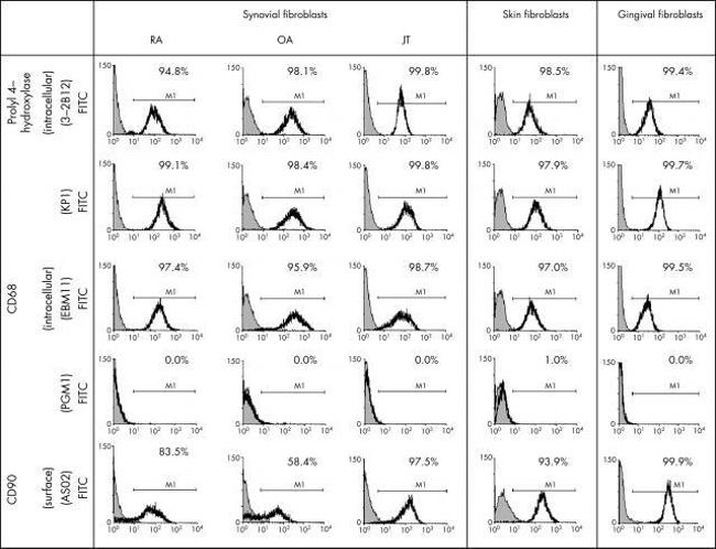 CD68 Antibody in Flow Cytometry (Flow)