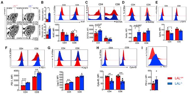 CD279 (PD-1) Antibody in Flow Cytometry (Flow)