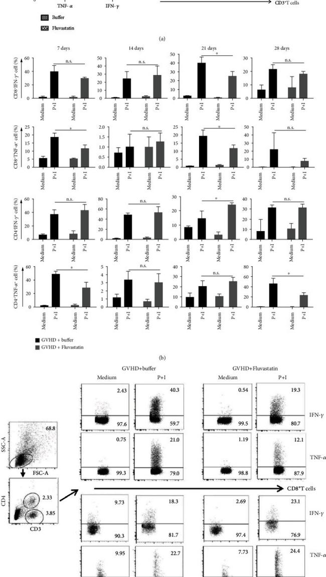 TNF alpha Antibody in Flow Cytometry (Flow)