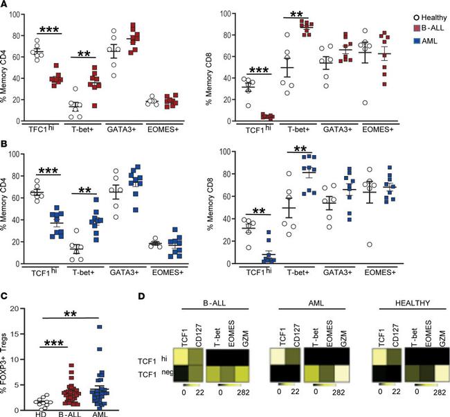 TIGIT Antibody in Flow Cytometry (Flow)