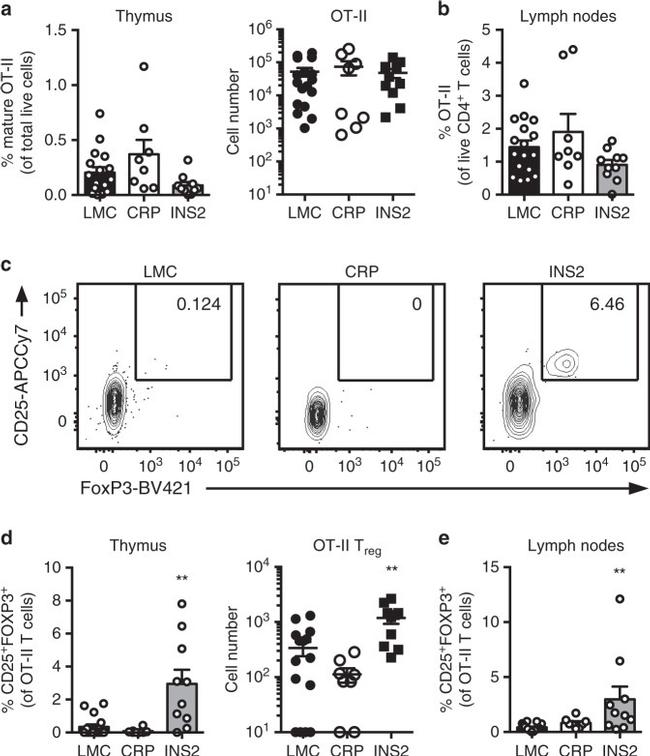 FOXP3 Antibody in Flow Cytometry (Flow)