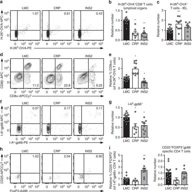 FOXP3 Antibody in Flow Cytometry (Flow)