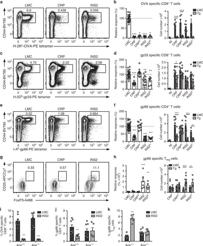 FOXP3 Antibody in Flow Cytometry (Flow)