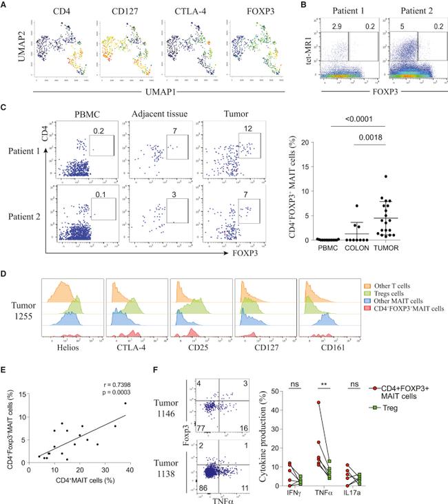 FOXP3 Antibody in Flow Cytometry (Flow)