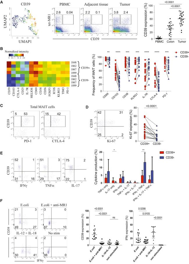 IFN gamma Antibody in Flow Cytometry (Flow)