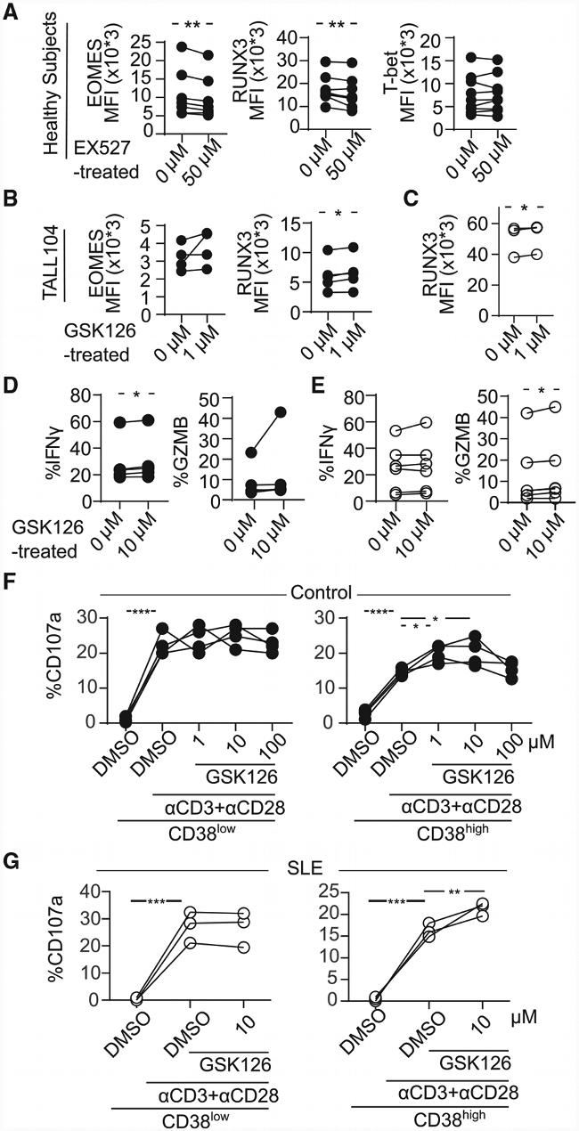 EOMES Antibody in Flow Cytometry (Flow)