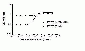 Human STAT5 alpha/beta InstantOne™ ELISA Kit