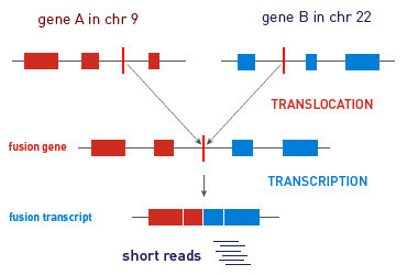 WE217831-wo1-rna-fusion-detection